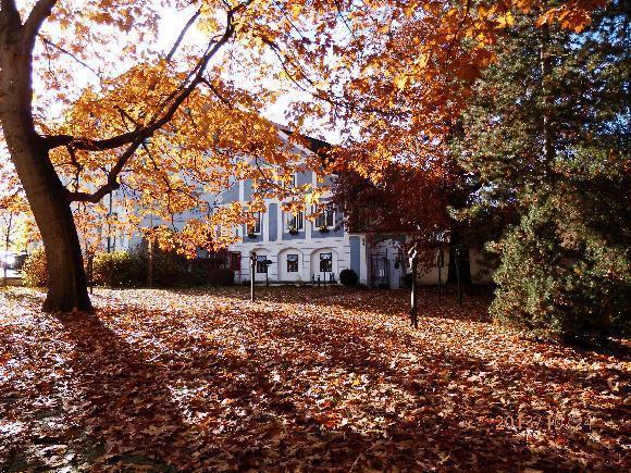 Český Krumlov Pension U Kaplicky מראה חיצוני תמונה